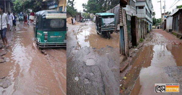 ফরাজিকান্দা-কলাগাছিয়া সড়কের বেহাল অবস্থা, চলাচলে দুর্ভোগ