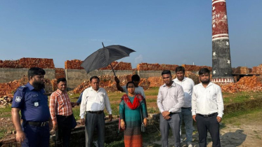 আড়াইহাজারে ভ্রাম্যমাণ আদালতের অভিযানে অবৈধ ইটভাটা বন্ধ