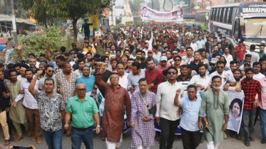 বিপ্লব-সংহতি দিবস উপলক্ষে মহানগর যুবদলের বর্ণাঢ্য মিছিল